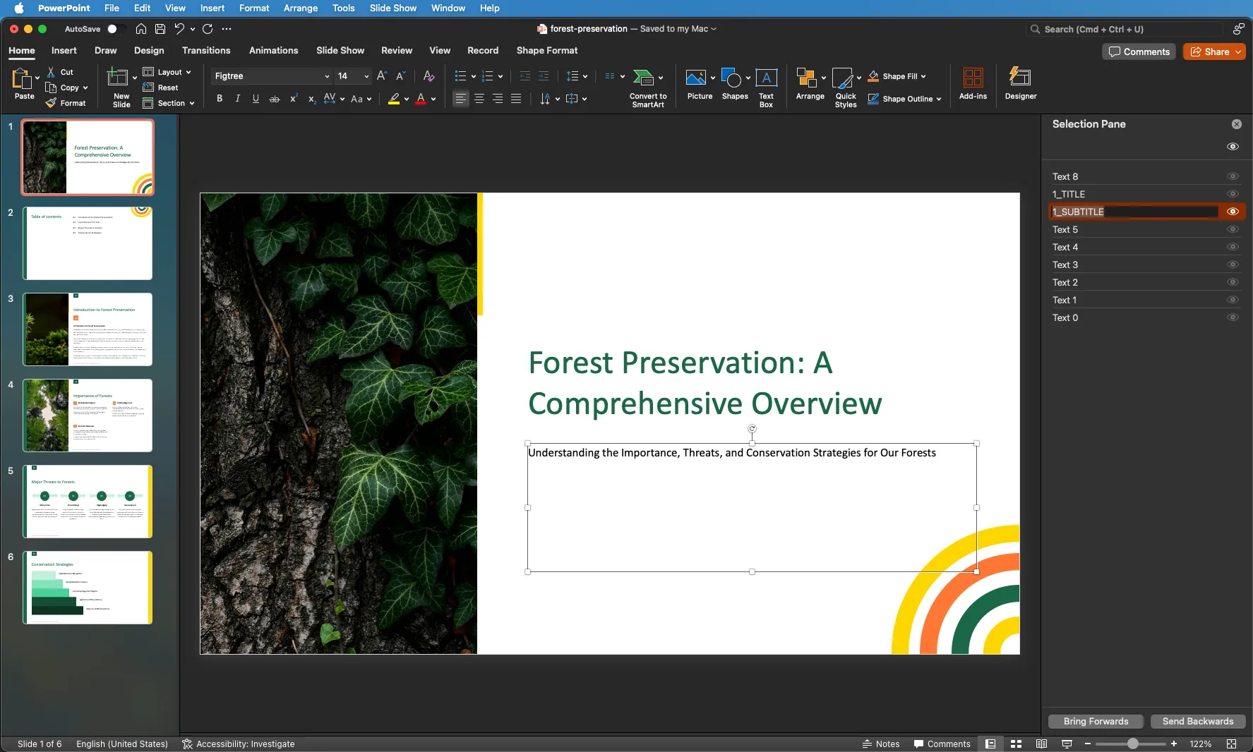 PowerPoint Placeholder Name